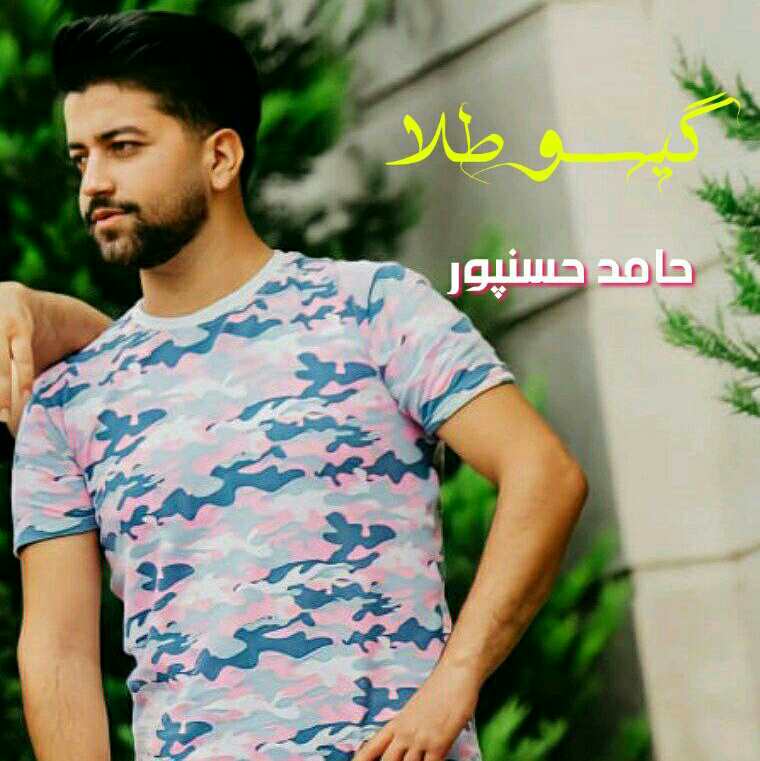 حامد حسنپور گیسو طلا